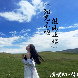 动画埃及猫拔萝卜原创版网站
