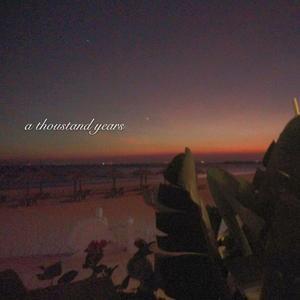 动画埃及猫拔萝卜原创版网站
